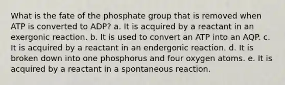 What is the fate of the phosphate group that is removed when ATP is converted to ADP? a. It is acquired by a reactant in an exergonic reaction. b. It is used to convert an ATP into an AQP. c. It is acquired by a reactant in an endergonic reaction. d. It is broken down into one phosphorus and four oxygen atoms. e. It is acquired by a reactant in a spontaneous reaction.