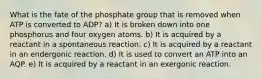 What is the fate of the phosphate group that is removed when ATP is converted to ADP? a) It is broken down into one phosphorus and four oxygen atoms. b) It is acquired by a reactant in a spontaneous reaction. c) It is acquired by a reactant in an endergonic reaction. d) It is used to convert an ATP into an AQP. e) It is acquired by a reactant in an exergonic reaction.