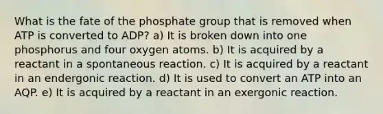 What is the fate of the phosphate group that is removed when ATP is converted to ADP? a) It is broken down into one phosphorus and four oxygen atoms. b) It is acquired by a reactant in a spontaneous reaction. c) It is acquired by a reactant in an endergonic reaction. d) It is used to convert an ATP into an AQP. e) It is acquired by a reactant in an exergonic reaction.