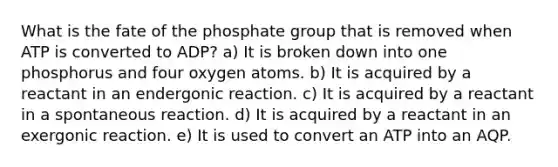 What is the fate of the phosphate group that is removed when ATP is converted to ADP? a) It is broken down into one phosphorus and four oxygen atoms. b) It is acquired by a reactant in an endergonic reaction. c) It is acquired by a reactant in a spontaneous reaction. d) It is acquired by a reactant in an exergonic reaction. e) It is used to convert an ATP into an AQP.