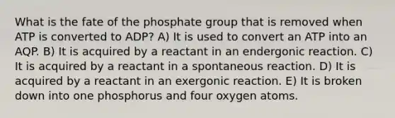 What is the fate of the phosphate group that is removed when ATP is converted to ADP? A) It is used to convert an ATP into an AQP. B) It is acquired by a reactant in an endergonic reaction. C) It is acquired by a reactant in a spontaneous reaction. D) It is acquired by a reactant in an exergonic reaction. E) It is broken down into one phosphorus and four oxygen atoms.