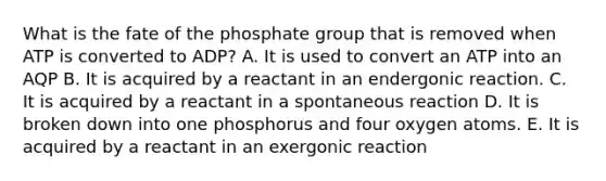 What is the fate of the phosphate group that is removed when ATP is converted to ADP? A. It is used to convert an ATP into an AQP B. It is acquired by a reactant in an endergonic reaction. C. It is acquired by a reactant in a spontaneous reaction D. It is broken down into one phosphorus and four oxygen atoms. E. It is acquired by a reactant in an exergonic reaction