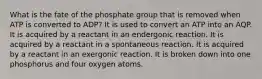 What is the fate of the phosphate group that is removed when ATP is converted to ADP? It is used to convert an ATP into an AQP. It is acquired by a reactant in an endergonic reaction. It is acquired by a reactant in a spontaneous reaction. It is acquired by a reactant in an exergonic reaction. It is broken down into one phosphorus and four oxygen atoms.