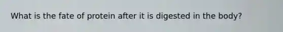 What is the fate of protein after it is digested in the body?
