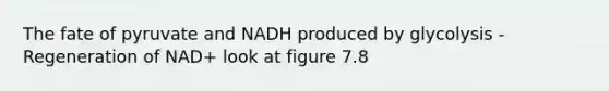 The fate of pyruvate and NADH produced by glycolysis -Regeneration of NAD+ look at figure 7.8