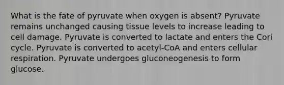 What is the fate of pyruvate when oxygen is absent? Pyruvate remains unchanged causing tissue levels to increase leading to cell damage. Pyruvate is converted to lactate and enters the Cori cycle. Pyruvate is converted to acetyl-CoA and enters cellular respiration. Pyruvate undergoes gluconeogenesis to form glucose.