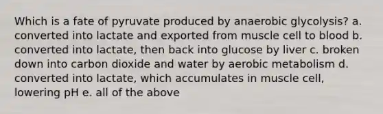 Which is a fate of pyruvate produced by anaerobic glycolysis? a. converted into lactate and exported from muscle cell to blood b. converted into lactate, then back into glucose by liver c. broken down into carbon dioxide and water by aerobic metabolism d. converted into lactate, which accumulates in muscle cell, lowering pH e. all of the above