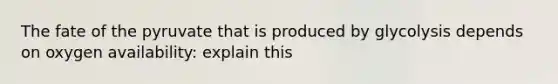 The fate of the pyruvate that is produced by glycolysis depends on oxygen availability: explain this