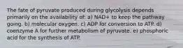 The fate of pyruvate produced during glycolysis depends primarily on the availability of: a) NAD+ to keep the pathway going. b) molecular oxygen. c) ADP for conversion to ATP. d) coenzyme A for further metabolism of pyruvate. e) phosphoric acid for the synthesis of ATP.