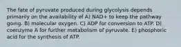 The fate of pyruvate produced during glycolysis depends primarily on the availability of A) NAD+ to keep the pathway going. B) molecular oxygen. C) ADP for conversion to ATP. D) coenzyme A for further metabolism of pyruvate. E) phosphoric acid for the synthesis of ATP.