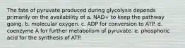 The fate of pyruvate produced during glycolysis depends primarily on the availability of a. NAD+ to keep the pathway going. b. molecular oxygen. c. ADP for conversion to ATP. d. coenzyme A for further metabolism of pyruvate. e. phosphoric acid for the synthesis of ATP.