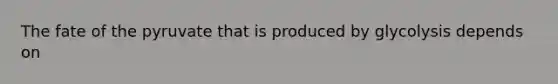 The fate of the pyruvate that is produced by glycolysis depends on