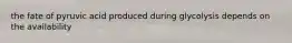 the fate of pyruvic acid produced during glycolysis depends on the availability