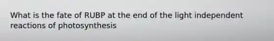 What is the fate of RUBP at the end of the light independent reactions of photosynthesis