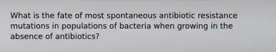 What is the fate of most spontaneous antibiotic resistance mutations in populations of bacteria when growing in the absence of antibiotics?