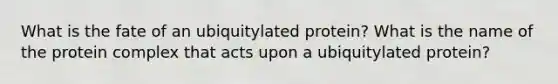 What is the fate of an ubiquitylated protein? What is the name of the protein complex that acts upon a ubiquitylated protein?