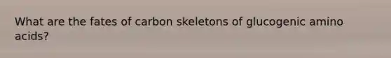 What are the fates of carbon skeletons of glucogenic <a href='https://www.questionai.com/knowledge/k9gb720LCl-amino-acids' class='anchor-knowledge'>amino acids</a>?