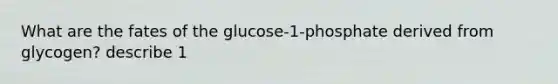 What are the fates of the glucose-1-phosphate derived from glycogen? describe 1