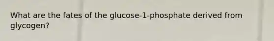 What are the fates of the glucose-1-phosphate derived from glycogen?