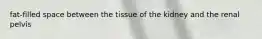 fat-filled space between the tissue of the kidney and the renal pelvis