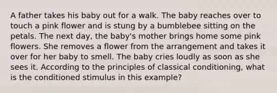 A father takes his baby out for a walk. The baby reaches over to touch a pink flower and is stung by a bumblebee sitting on the petals. The next day, the baby's mother brings home some pink flowers. She removes a flower from the arrangement and takes it over for her baby to smell. The baby cries loudly as soon as she sees it. According to the principles of classical conditioning, what is the conditioned stimulus in this example?