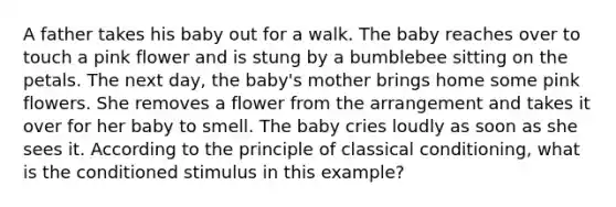 A father takes his baby out for a walk. The baby reaches over to touch a pink flower and is stung by a bumblebee sitting on the petals. The next day, the baby's mother brings home some pink flowers. She removes a flower from the arrangement and takes it over for her baby to smell. The baby cries loudly as soon as she sees it. According to the principle of classical conditioning, what is the conditioned stimulus in this example?