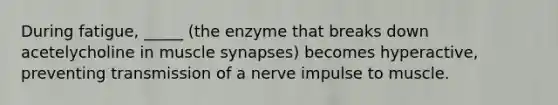 During fatigue, _____ (the enzyme that breaks down acetelycholine in muscle synapses) becomes hyperactive, preventing transmission of a nerve impulse to muscle.