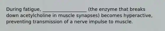 During fatigue, ___________________ (the enzyme that breaks down acetylcholine in muscle synapses) becomes hyperactive, preventing transmission of a nerve impulse to muscle.