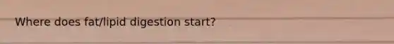 Where does fat/lipid digestion start?