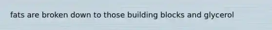 fats are broken down to those building blocks and glycerol