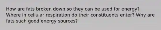 How are fats broken down so they can be used for energy? Where in cellular respiration do their constituents enter? Why are fats such good energy sources?