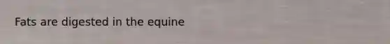 Fats are digested in the equine