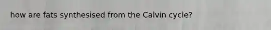 how are fats synthesised from the Calvin cycle?