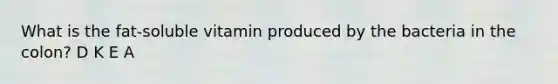 What is the fat-soluble vitamin produced by the bacteria in the colon? D K E A