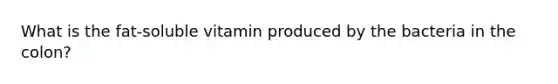 What is the fat-soluble vitamin produced by the bacteria in the colon?