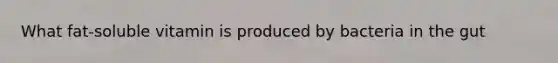 What fat-soluble vitamin is produced by bacteria in the gut