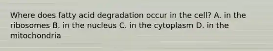 Where does fatty acid degradation occur in the cell? A. in the ribosomes B. in the nucleus C. in the cytoplasm D. in the mitochondria