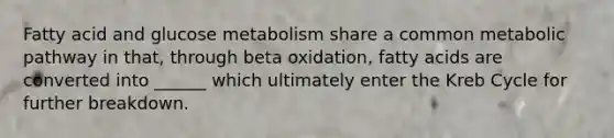 Fatty acid and glucose metabolism share a common metabolic pathway in that, through beta oxidation, fatty acids are converted into ______ which ultimately enter the Kreb Cycle for further breakdown.