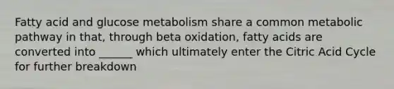 Fatty acid and glucose metabolism share a common metabolic pathway in that, through beta oxidation, fatty acids are converted into ______ which ultimately enter the Citric Acid Cycle for further breakdown