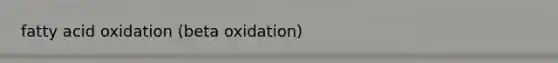 fatty acid oxidation (beta oxidation)