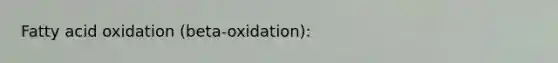 Fatty acid oxidation (beta-oxidation):