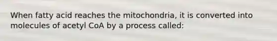 When fatty acid reaches the mitochondria, it is converted into molecules of acetyl CoA by a process called: