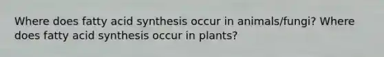 Where does fatty acid synthesis occur in animals/fungi? Where does fatty acid synthesis occur in plants?