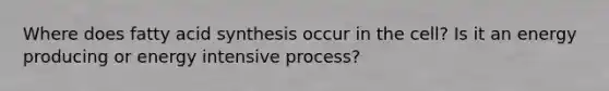 Where does fatty acid synthesis occur in the cell? Is it an energy producing or energy intensive process?