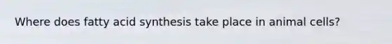 Where does fatty acid synthesis take place in animal cells?