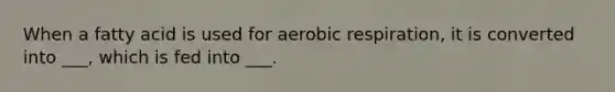 When a fatty acid is used for <a href='https://www.questionai.com/knowledge/kyxGdbadrV-aerobic-respiration' class='anchor-knowledge'>aerobic respiration</a>, it is converted into ___, which is fed into ___.