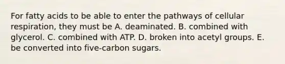 For fatty acids to be able to enter the pathways of cellular respiration, they must be A. deaminated. B. combined with glycerol. C. combined with ATP. D. broken into acetyl groups. E. be converted into five-carbon sugars.