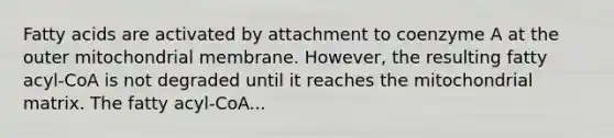 Fatty acids are activated by attachment to coenzyme A at the outer mitochondrial membrane. However, the resulting fatty acyl‑CoA is not degraded until it reaches the mitochondrial matrix. The fatty acyl‑CoA...