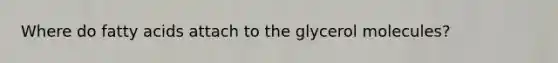 Where do fatty acids attach to the glycerol molecules?