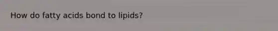 How do fatty acids bond to lipids?